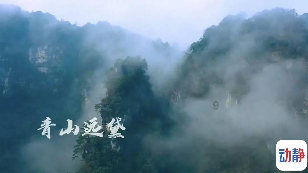 别致OL