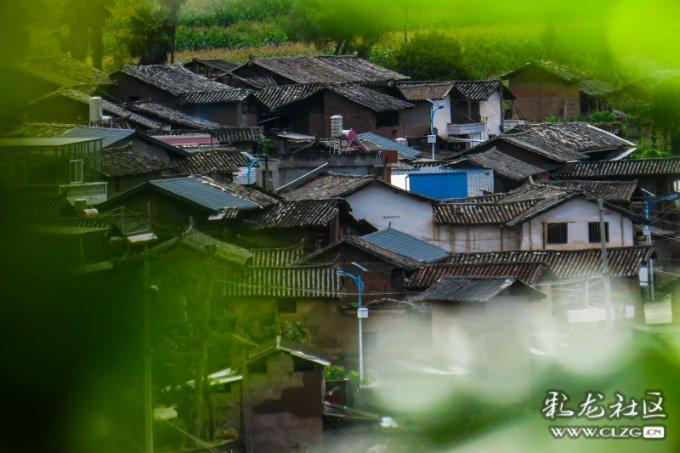 青春礼记