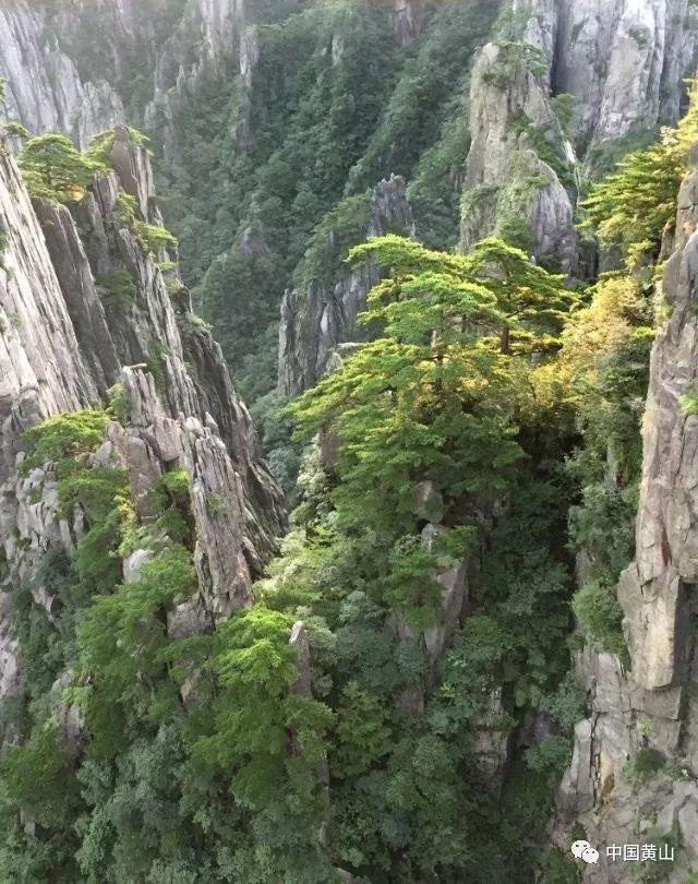 幽灵勇士中文无敌版