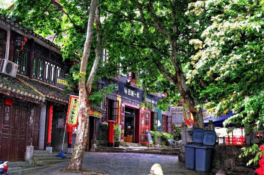 小兔子大冒险